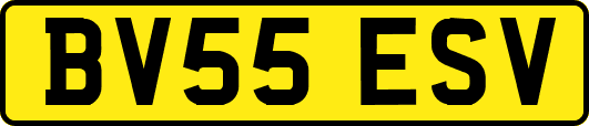 BV55ESV