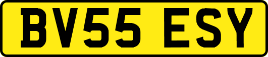 BV55ESY