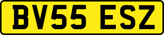 BV55ESZ
