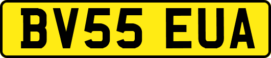 BV55EUA