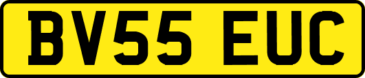BV55EUC
