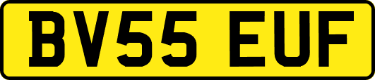 BV55EUF