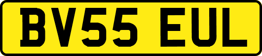 BV55EUL
