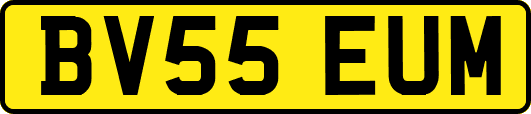 BV55EUM