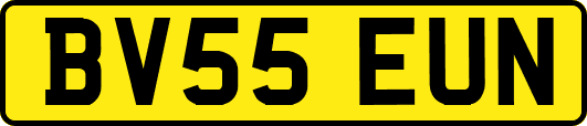 BV55EUN