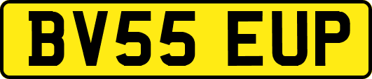 BV55EUP