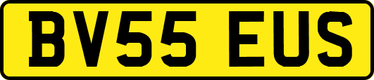 BV55EUS