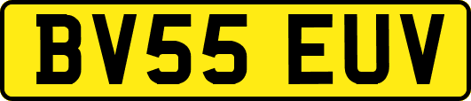 BV55EUV