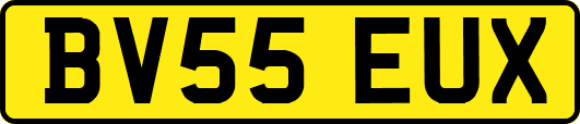 BV55EUX