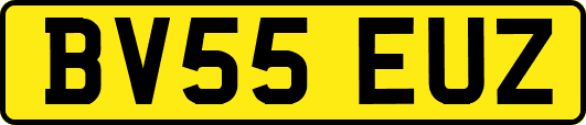 BV55EUZ
