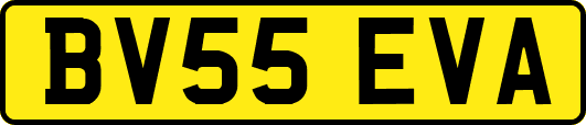 BV55EVA