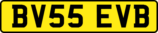 BV55EVB