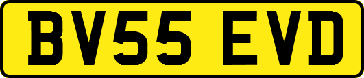 BV55EVD