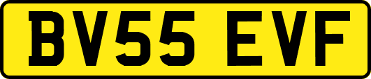 BV55EVF