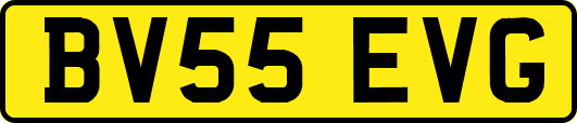 BV55EVG