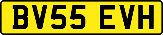 BV55EVH