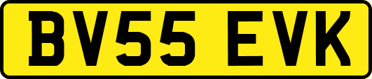 BV55EVK
