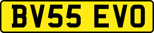 BV55EVO