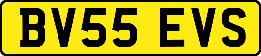 BV55EVS