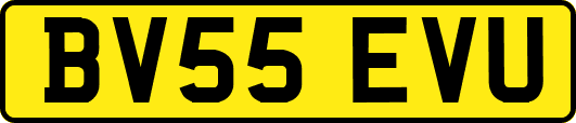 BV55EVU