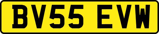 BV55EVW