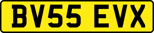 BV55EVX