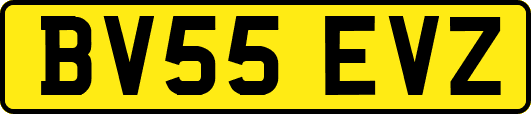 BV55EVZ