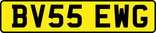 BV55EWG