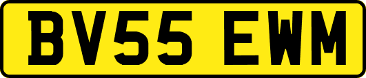 BV55EWM