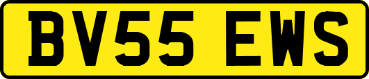 BV55EWS