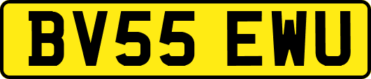 BV55EWU
