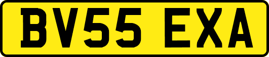 BV55EXA