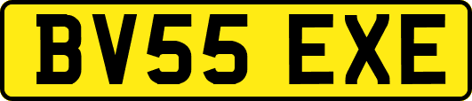BV55EXE
