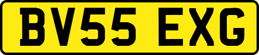 BV55EXG