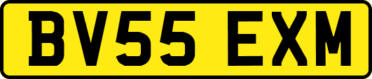 BV55EXM