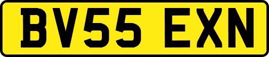 BV55EXN