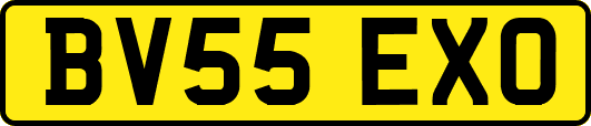BV55EXO