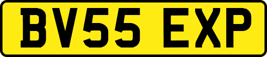 BV55EXP