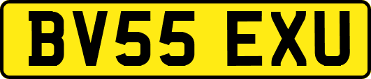 BV55EXU