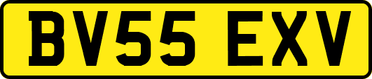 BV55EXV