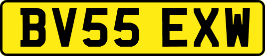 BV55EXW