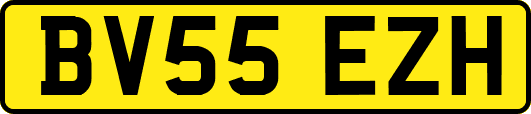 BV55EZH