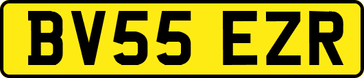 BV55EZR