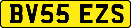 BV55EZS