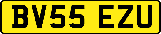 BV55EZU