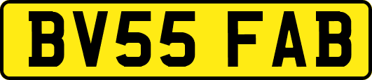 BV55FAB