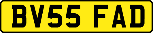 BV55FAD