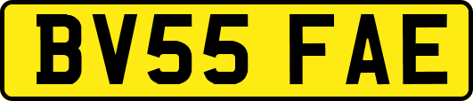 BV55FAE