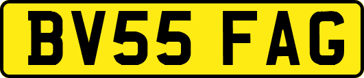 BV55FAG