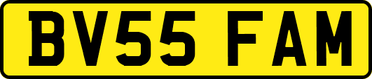 BV55FAM